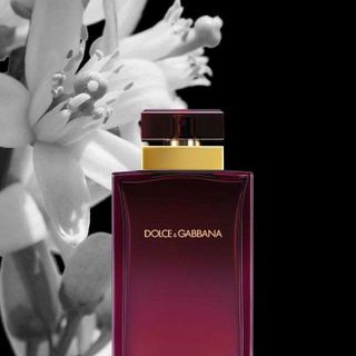 Nước Hoa Nữ Dolc e&GabbanaPour Femme EDP Spray 100ml
