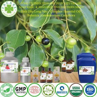 Tinh dầu Long Não Camphor essential oil thơm phòng - 500ml