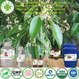 Tinh dầu Long Não Camphor essential oil thơm phòng - 500ml