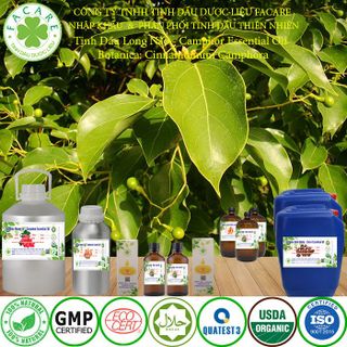 Tinh dầu Long Não Camphor essential oil thơm phòng - 500ml