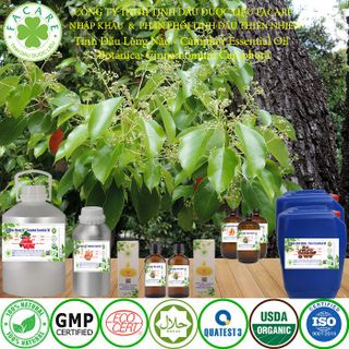 Tinh dầu Long Não Camphor essential oil thơm phòng - 500ml