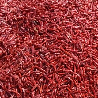 Ớt chỉ thiên sấy khô