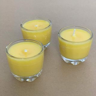 Hộp 12 ly nến bơ Organic múi đào - giá sỉ - giá bán buôn