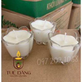 Nến bơ Organic Hoa mai màu vàng hộp 12 ly giá sỉ - giá bán buôn - Tuệ Đăng