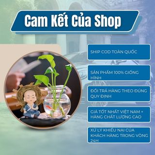 Bộ Tượng Chú Tiểu Kèm bình Thủy Sinh Trồng Cây Nuôi Cá,Trang Trí Ô Tô,Bàn Làm Việc,Tủ Sách ,Decor vv..