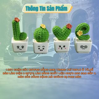 Sét 4 chậu cây xương rồng mini xinh biểu tượng vừa mãnh liệt-Trang trí taplo oto- Kim Huệ Yêu Xe