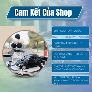 Set decor trang trí hình ô tô + thảm đá hoa trà + lọ bóng đặt taplo , bàn làm việc- Kim Huệ Yêu Xe