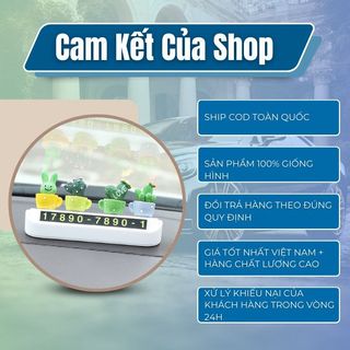 Bảng số điện thoại đặt taplo ô tô gắn chậu xương rồng xinh xắn -Kim Huệ Yêu Xe
