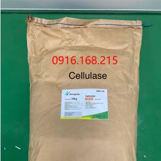 NGUYÊN LIỆU ENZYME CELLULASE