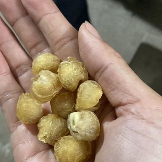 LONG NHÃN ÔM SEN đặc sản Phố Hiến Hưng Yên - món siêu hot hiện nay