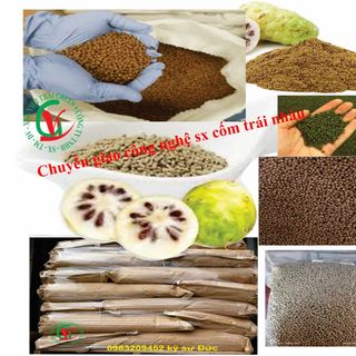 cung cấp/bán phân phối bột hạt cốm trái nhàu