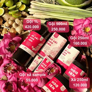 Dầu gội Bồ Kết Hoa Sen 500ml