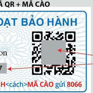 ĐỒNG HỒ NỮ CAO CẤP D.W PETITE ROMAN NUMERALS DÂY THÉP MẶT TRÒN KÈM TEM KÍCH HOẠT BẢO HÀNH ĐIỆN TỬ