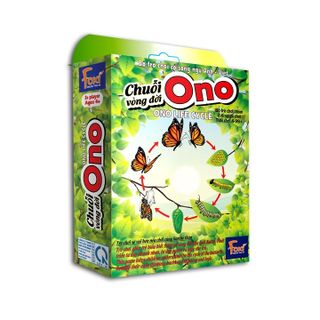 Board game-Chuỗi Ono vòng đời Ếch Bướm Foxi-thẻ glenndoman và flashcard thông minh--siêu rẻ.