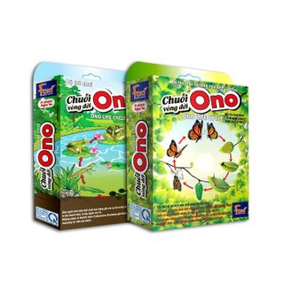 Board game-Chuỗi Ono vòng đời Ếch Bướm Foxi-thẻ glenndoman và flashcard thông minh--siêu rẻ.