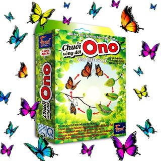 Board game-Chuỗi Ono vòng đời Ếch Bướm Foxi-thẻ glenndoman và flashcard thông minh--siêu rẻ.