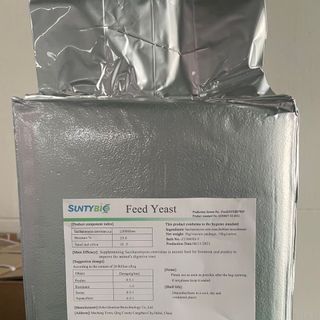 SACCHAROMYCES CEREVISAE SUUNTYBIO
