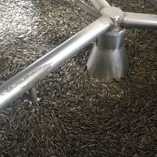 hướng dương 50gr vị dừa - hren coffee thơm ngọt béo ngậy giá bán buôn bỏ sỉ