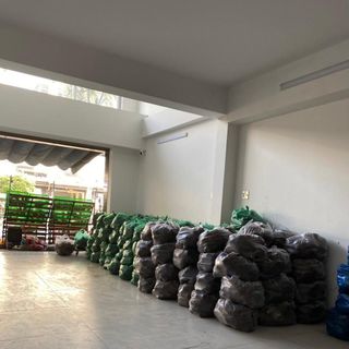 Khoai mỡ tím long an chuyên sỉ & lẻ Giao hàng trên toàn quốc