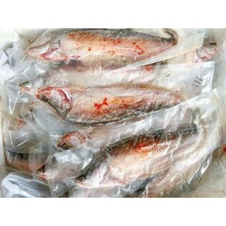 1kg Cá thác lác rút xương tẩm vị 3-4 con (giao hỏa tốc TPHCM)