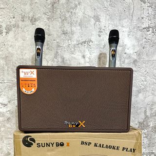 Loa Karaoke Sunybox SN-168.