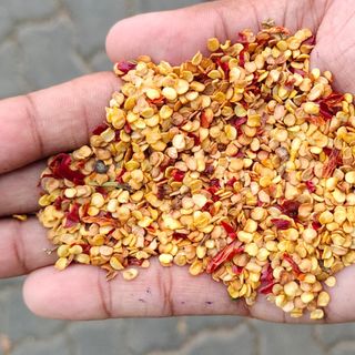 HẠT ỚT KHÔ ẤN ĐỘ