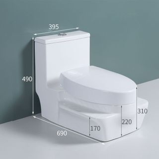 Bồn cầu ngồi xổm cao cấp với 2 chức năng để ngồi mã T2500X