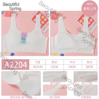 AL2204 - AO LA SU HS