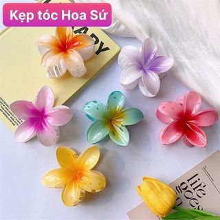 Kẹp tóc Hoa Sứ giá sỉ