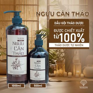 Dầu gội bồ kết, dầu gội thảo dược phụ hồi tóc, ngăn ngừa gãy rụng - Ngưu Cân Thảo Chai 1000ml giá sỉ