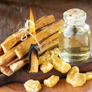 Gỗ Trắc Xanh- Gỗ Palo Santo Giúp giảm căng thẳng, thanh tẩy, lọc không khí