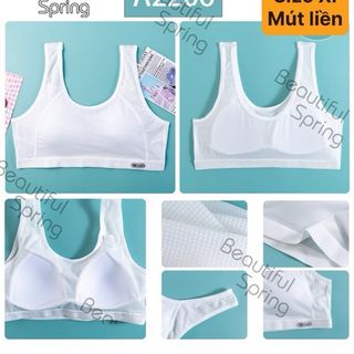 AL2206 XL- Áo lá SU