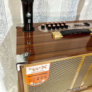 Loa Karaoke Sunybox 66 Plus