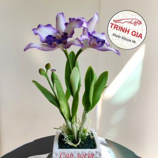 Hoa đất sét giá sỉ