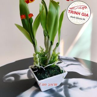 Hoa đất sét