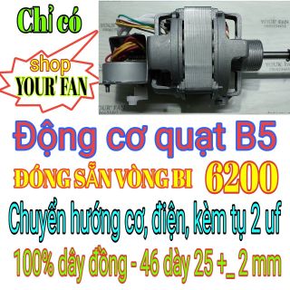 Bộ động cơ quạt B5, chuyển hướng điện, đã đóng bạc đạn KG 6200 của Ấn Độ , 100% dây đồng, phe dày 25 mm, roto 46 mm, dùng thay thế cho quạt B5 Bộ động cơ quạt B5, chuyển hướng điện, đã đóng bạc đạn KG 6200 của Ấn Độ , 100% dây đồng, phe dày 25 mm, roto 46 mm, dùng thay thế cho quạt B5 giá sỉ