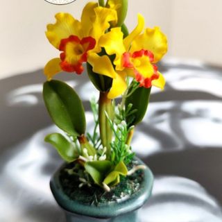 Hoa đất sét