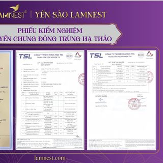Tổ Yến Chưng Đông Trùng Hạ Thảo LamNest tươi nguyên chất 30% yến 70ml - yensaocaocaplamnest
