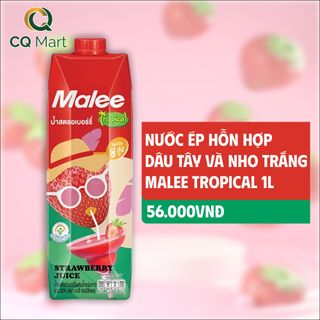 Nước hoa quả Malee giá sỉ