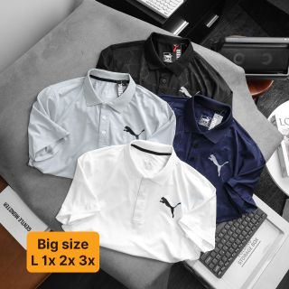 Polo Big size vải chính hãng cực đẹp. Thun poly 4c trơn láng, mát rượi, co giãn 4c thoải mái. Logo in Size : l xl 2xl 3xl Ri 2222 giá sỉ