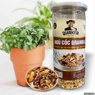 Ngũ Cốc Granola Nhiều Yến Mạch Hủ 500gr giá sỉ