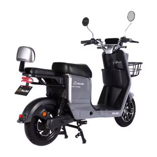 Bán  Xe Đạp Điện Pin Axít Chì 500W Của Trung Quốc Pin Lithium Giá Rẻ