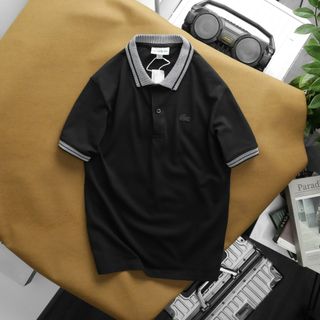 Áo thun polo nam, chất cá sấu 100% cotton .