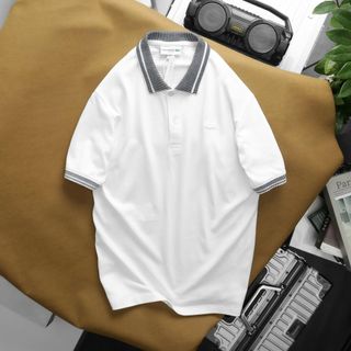 Áo thun polo nam, chất cá sấu 100% cotton .