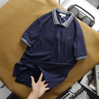 Áo thun polo nam, chất cá sấu 100% cotton .