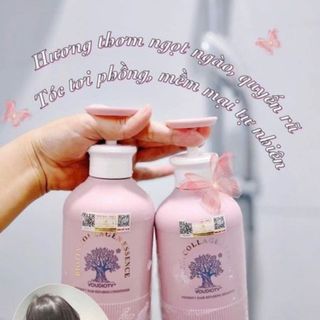 Gội xả biotin Collagen Essence Hồng giá sỉ