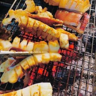 ĐUÔI MỰC ỐNG ĐẠI DƯƠNG.