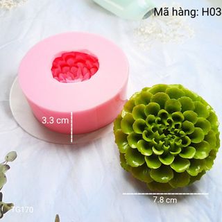 Khuôn silicone sen đá