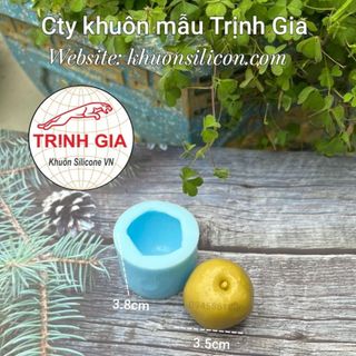 Khuôn silicone rau câu trang trí bánh-Hình trái DƯ