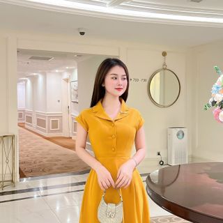 Đầm D2401004
